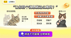 娶不下媳妇就是一句废话：蒙甲兴讲述传