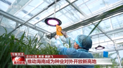 <b>黑紫色玉米、棕色秋葵……你见过的、没</b>